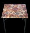 x Petrified Wood Table With Powder Coated Base #52943-1